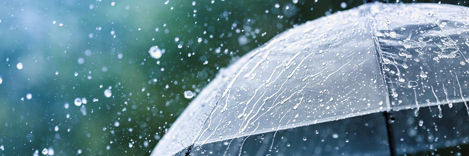 Georgia Umbrella Insurance Coverage
